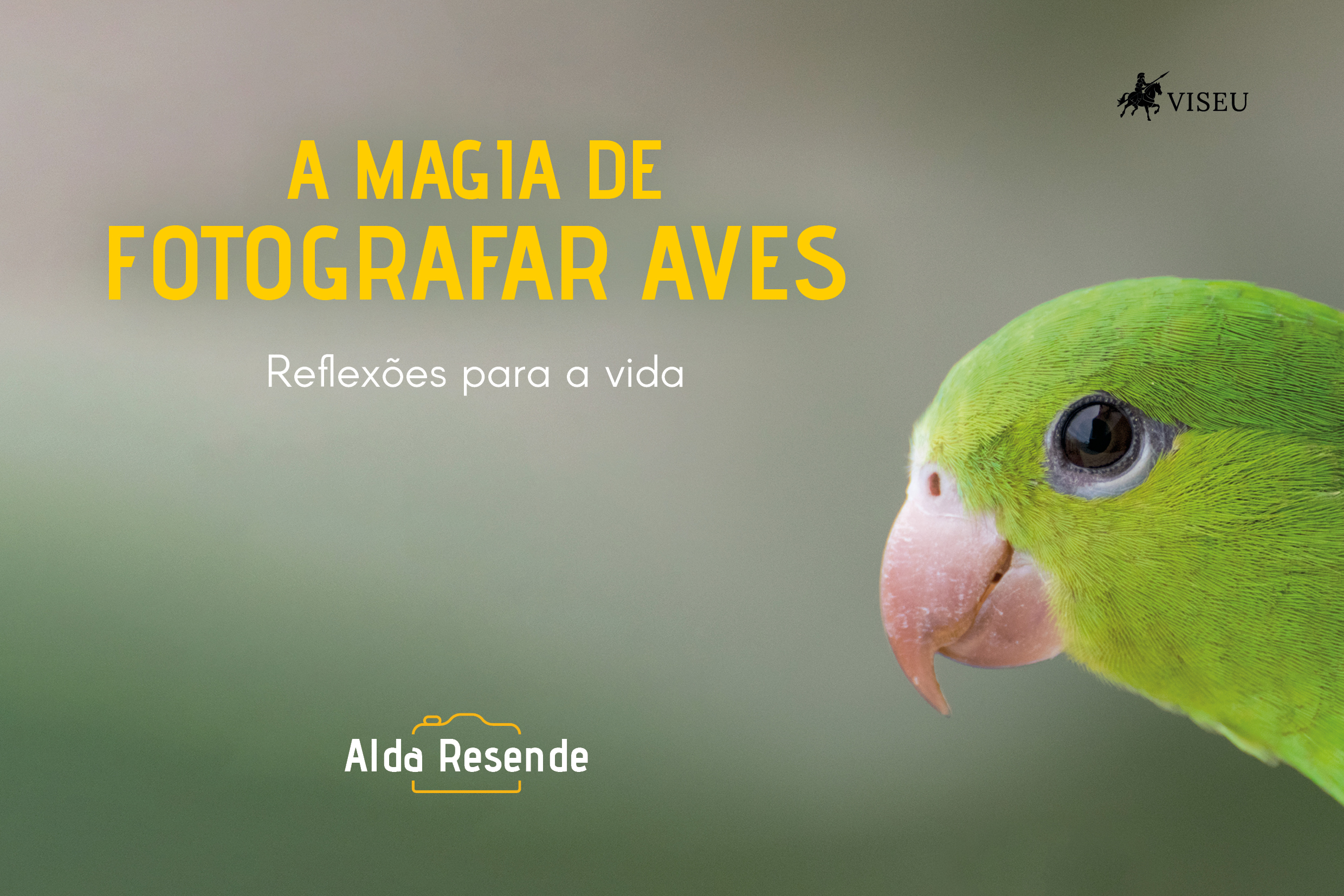A magia de fotografar aves: Inspiração para a vida