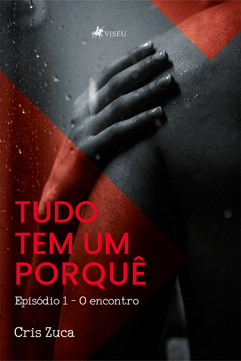 Tudo tem um porquê: Episódio 1 - O encontro
