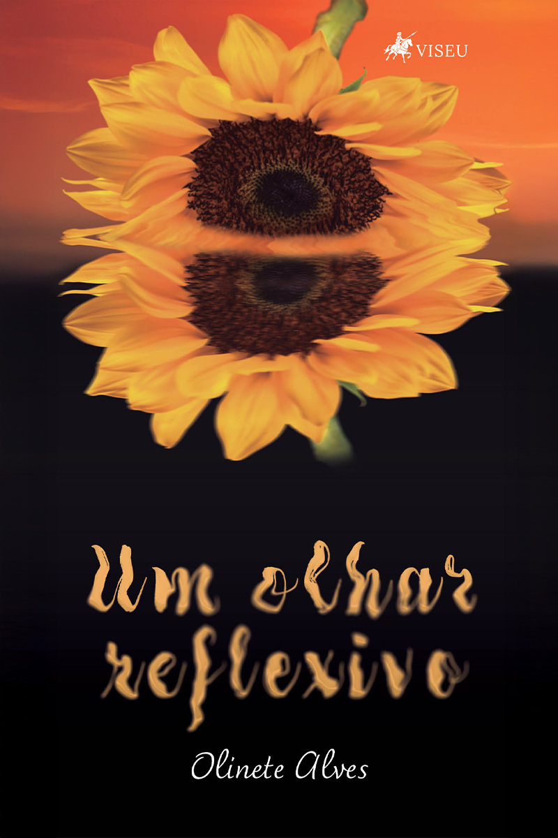 Um olhar reflexivo