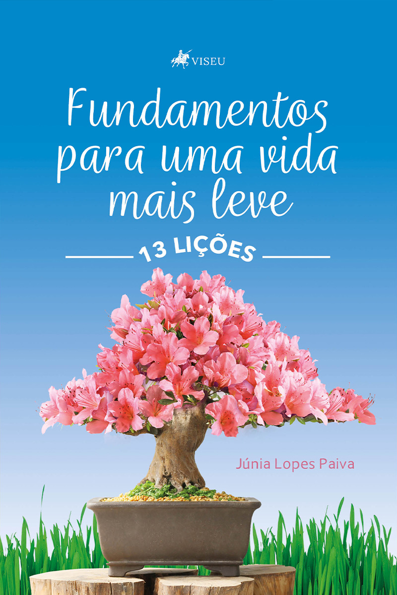 13 lições: Fundamentos para uma vida mais leve