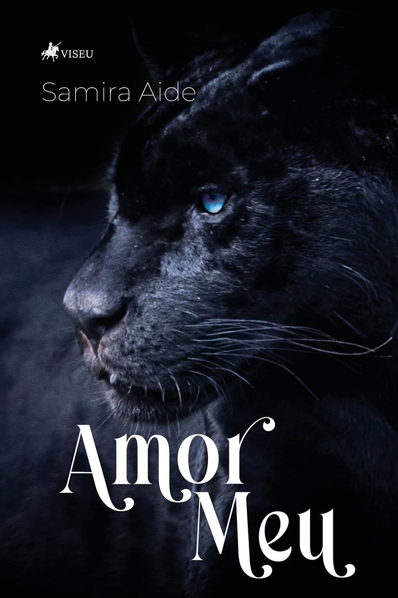 Amor Meu