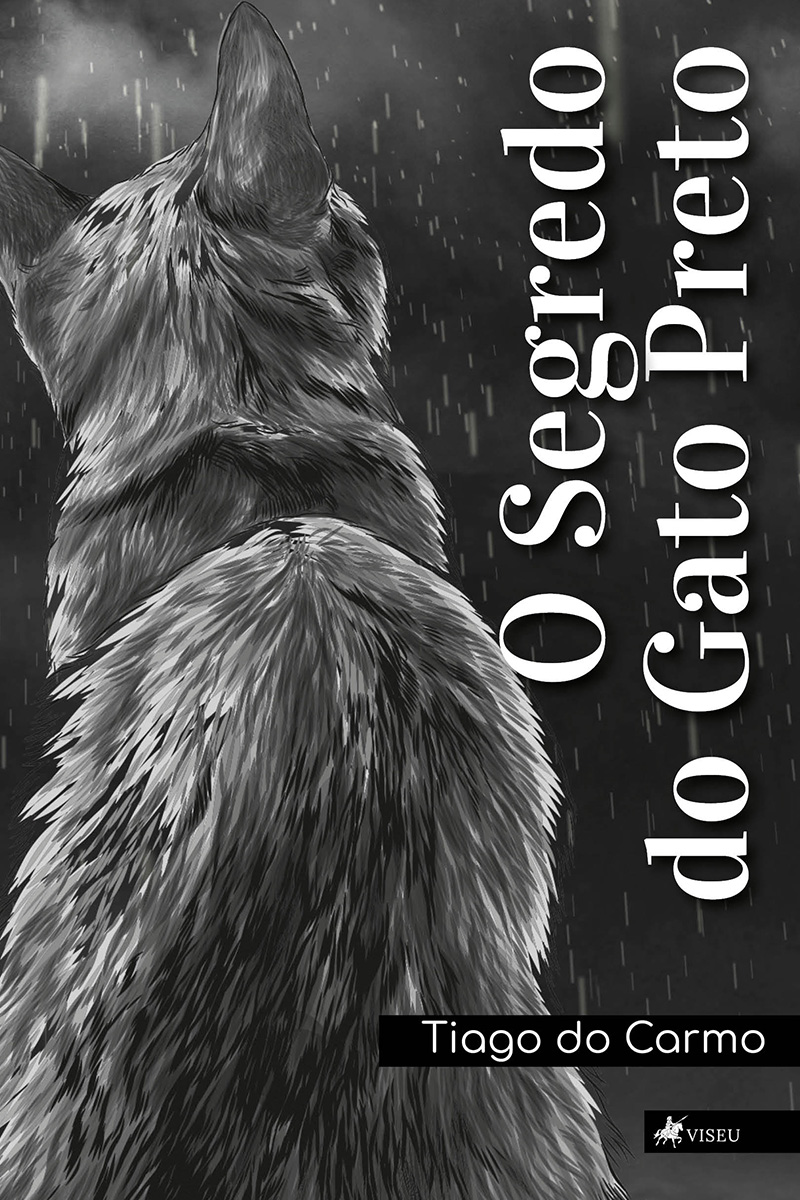 O segredo do gato preto