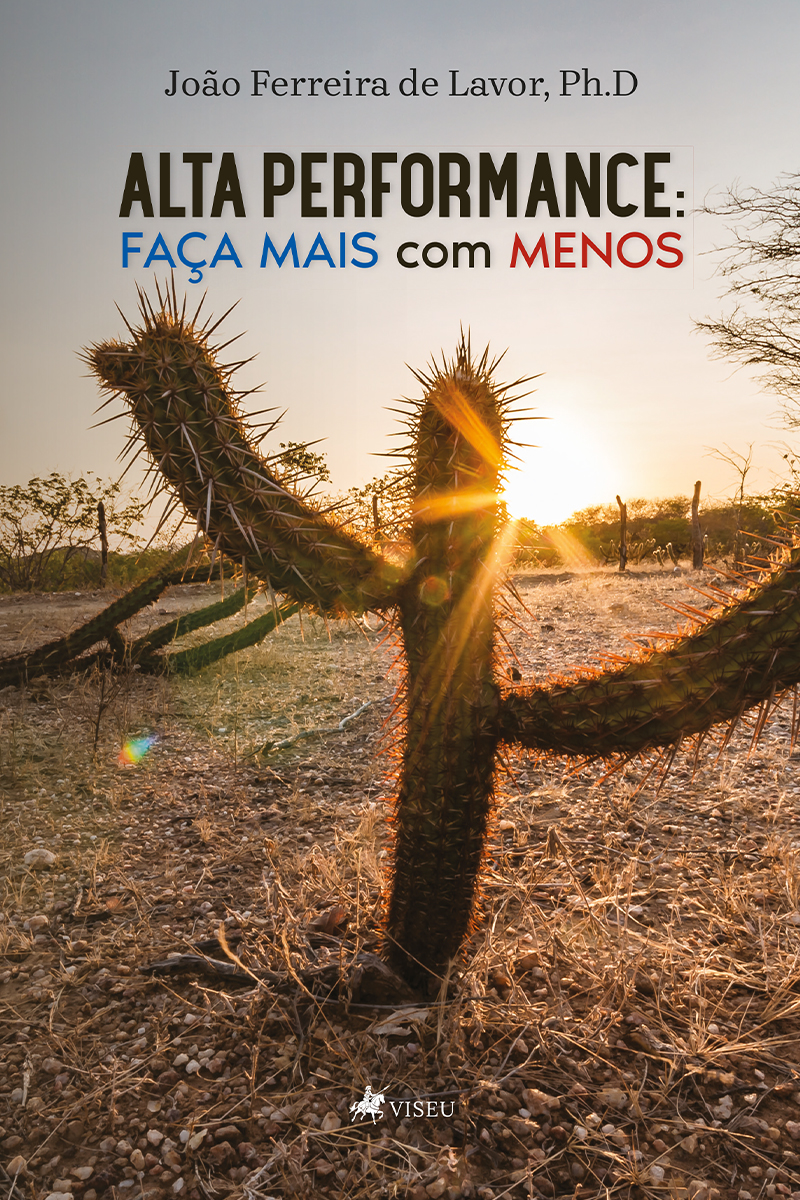 Alta performance: Faça mais com menos