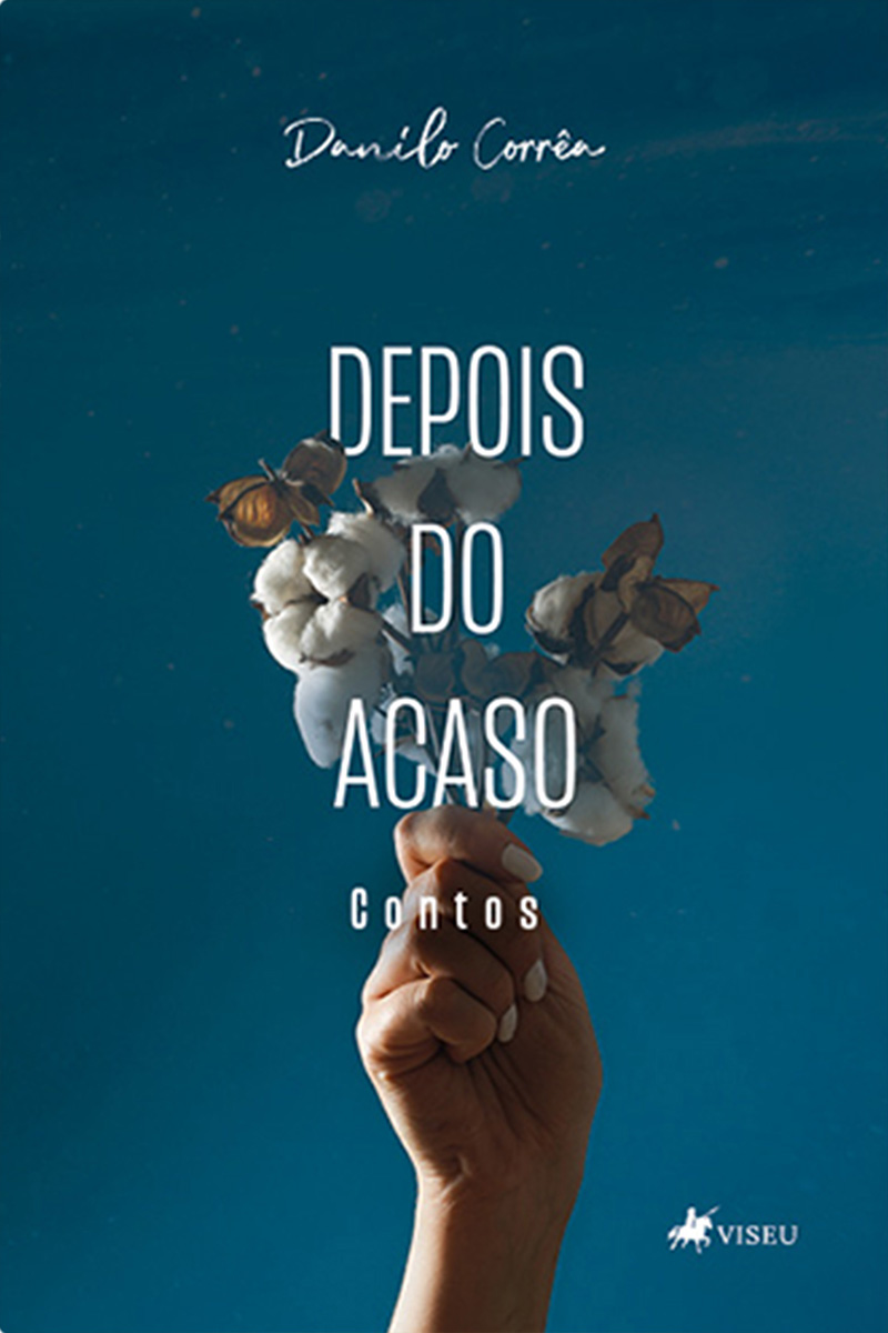 Depois do acaso: Contos