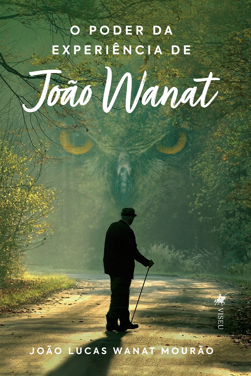 O Poder Da Experiência de João Wanat