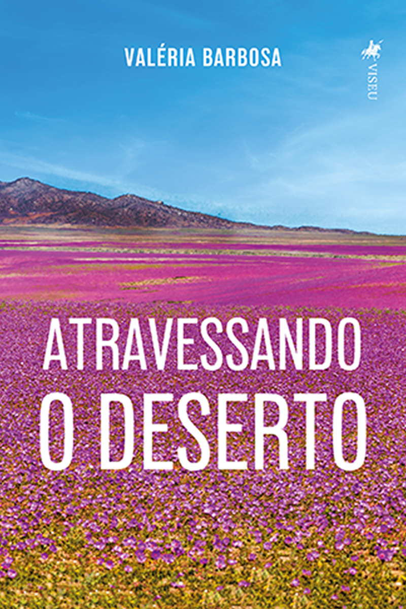 Atravessando o Deserto