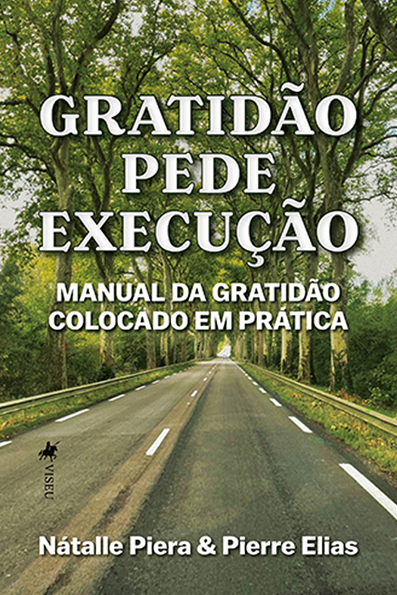 Gratidão pede Execução: Manual da gratidão colocado em Prática