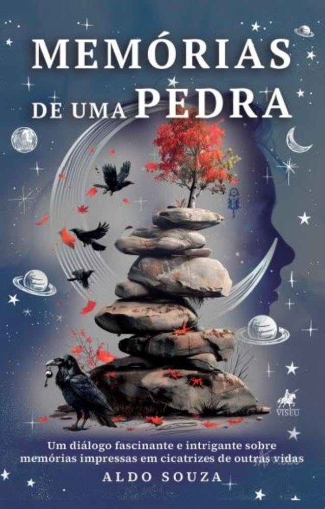 Memórias de uma pedra: Um diálogo fascinante e intrigante sobre memórias impressas em cicatrizes de outras vidas 
