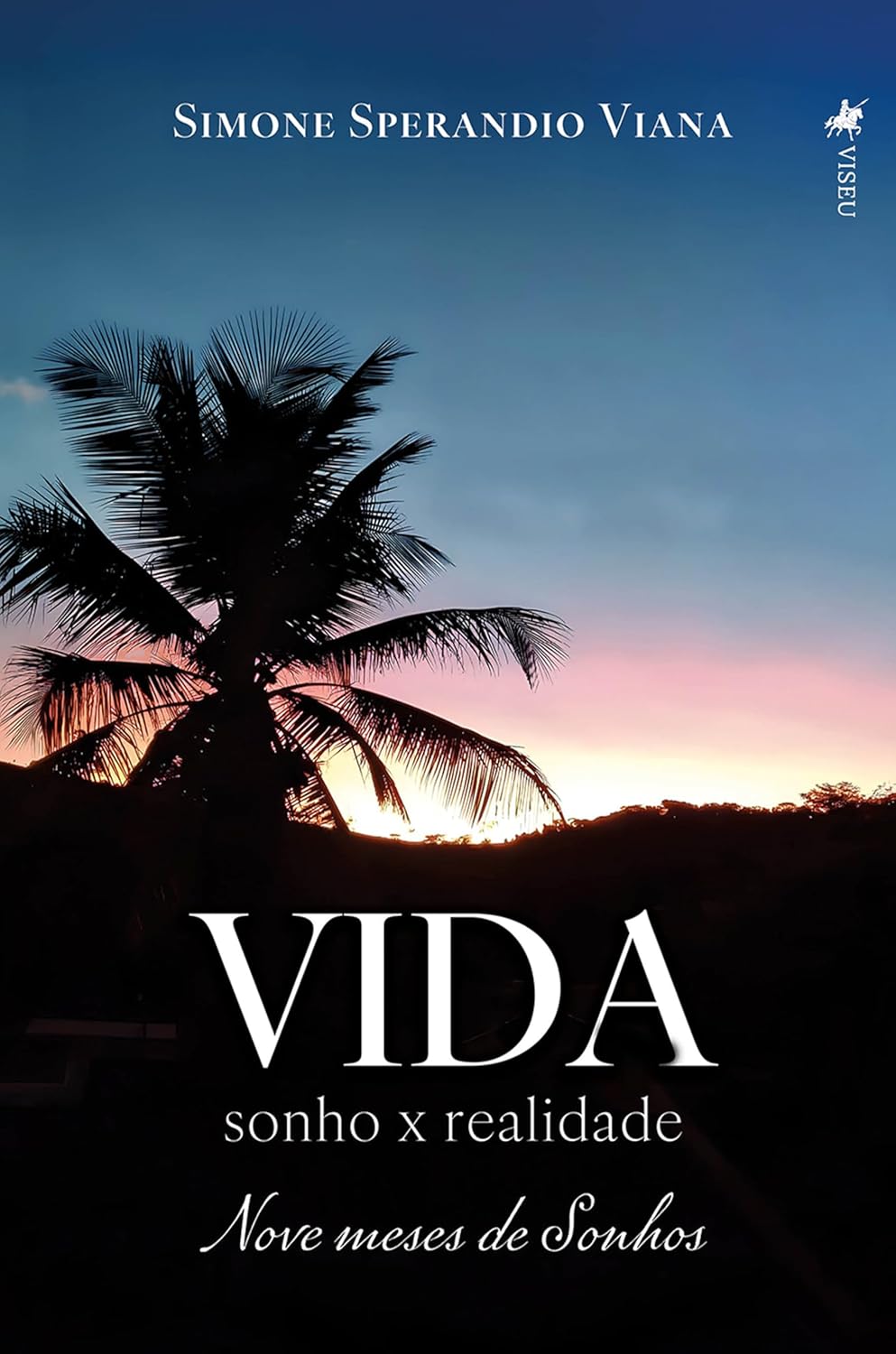 Vida Sonho x Realidade: Nove meses de Sonhos