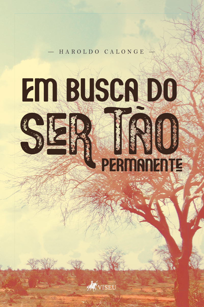 Em busca do ser tão permanente