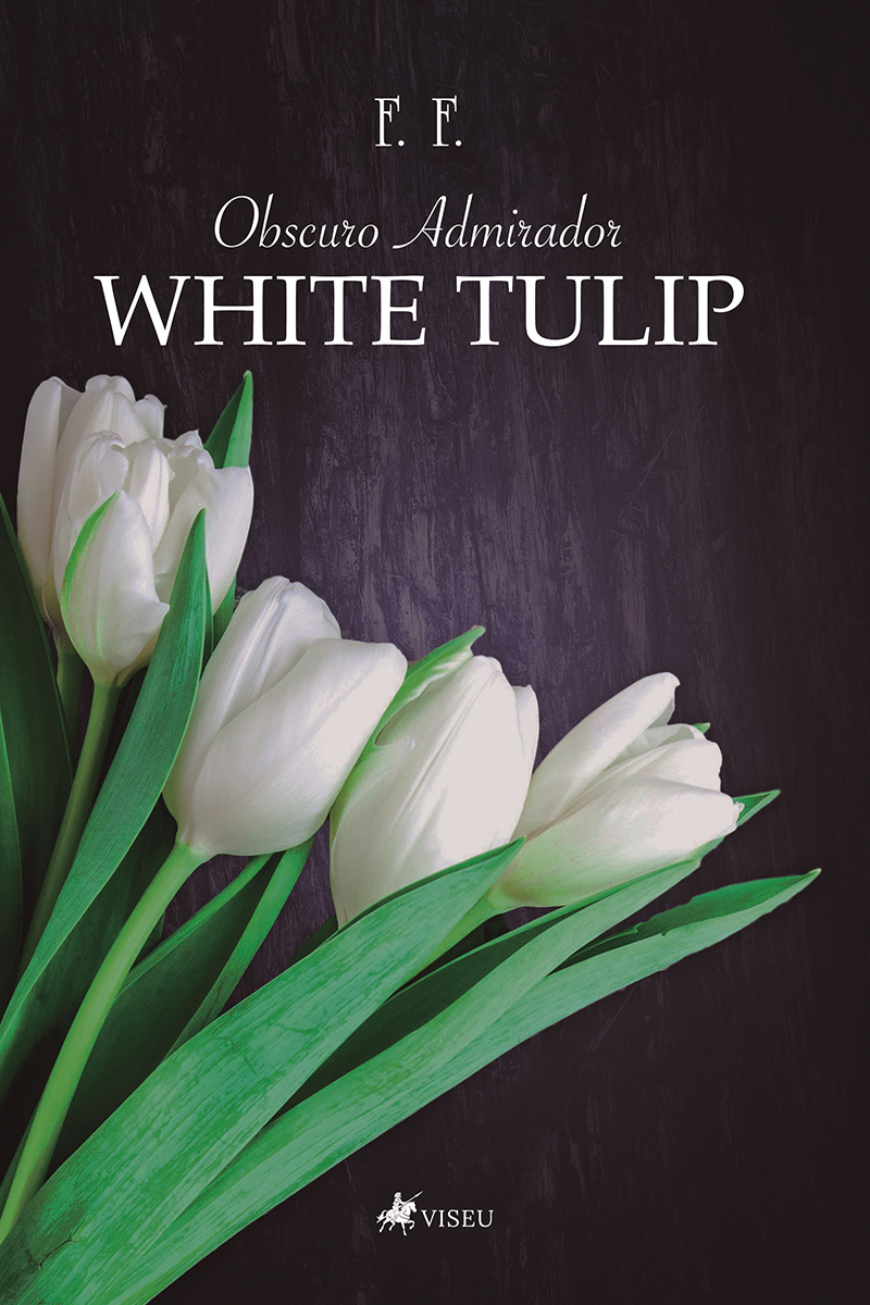 Obscuro admirador: White tulip
