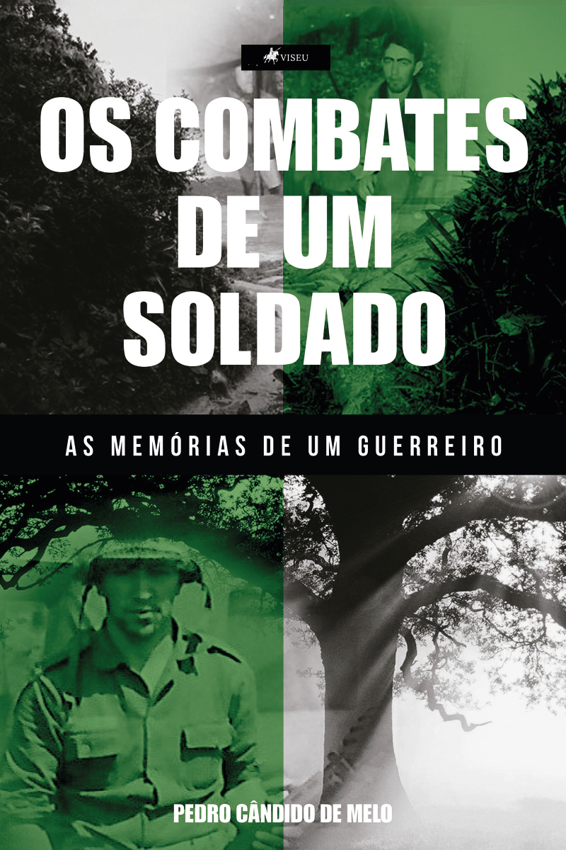 Os combates de um soldado: As memórias de um guerreiro