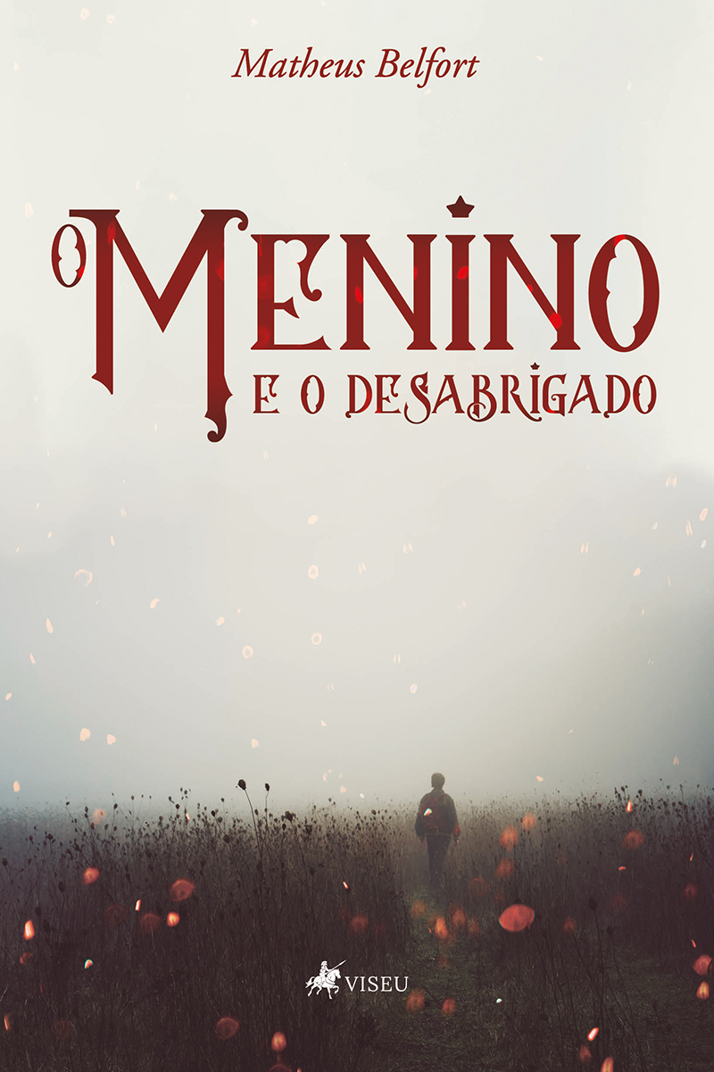 O menino e o desabrigado