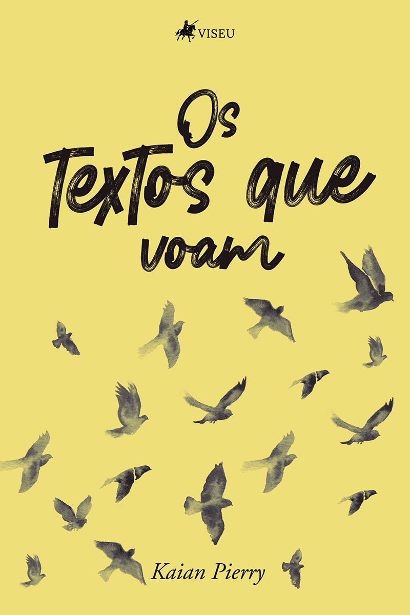 Os textos que voam: as crônicas de um adolescente