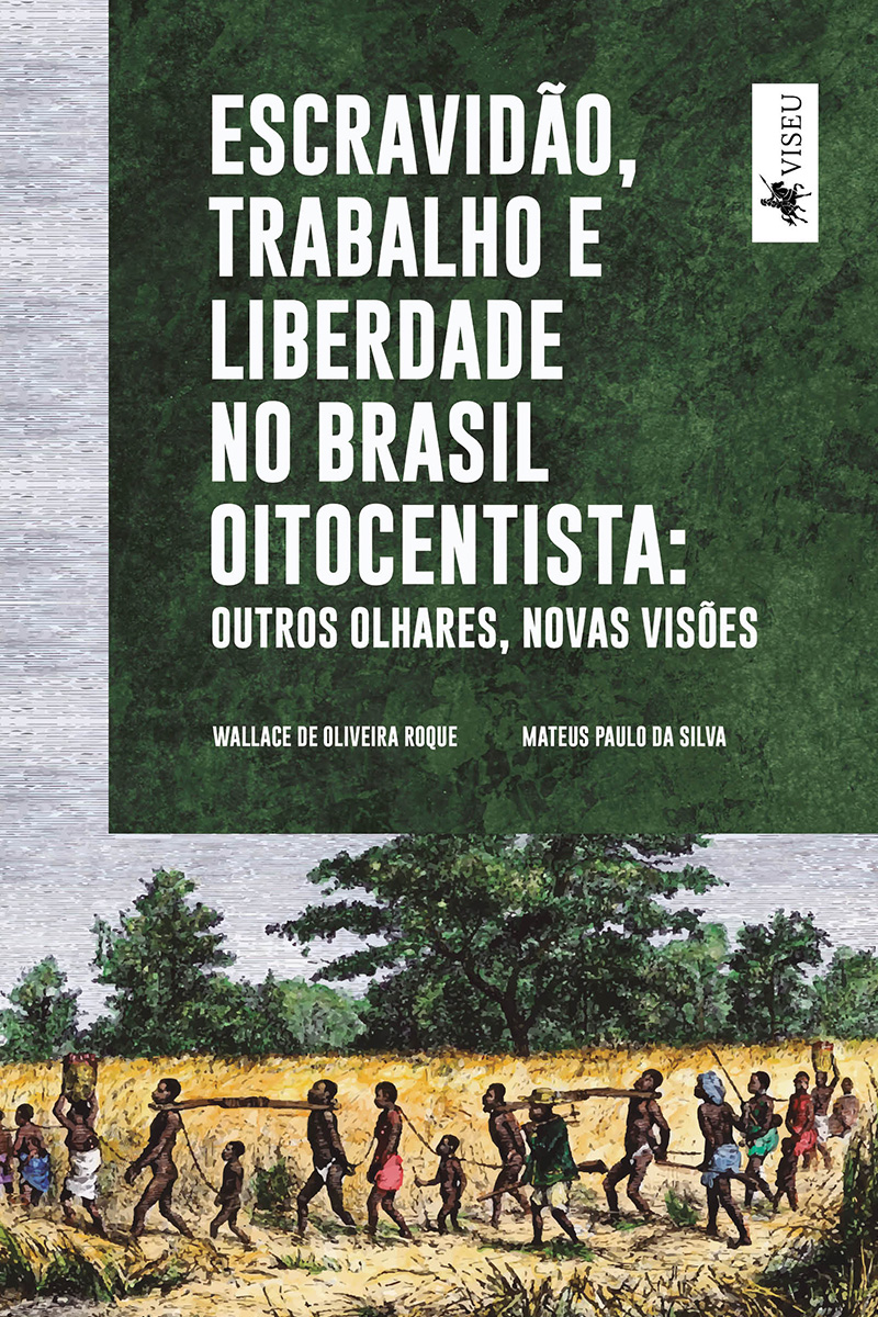 Escravidão, trabalho e liberdade no Brasil Oitocentista: Outros olhares, novas visões