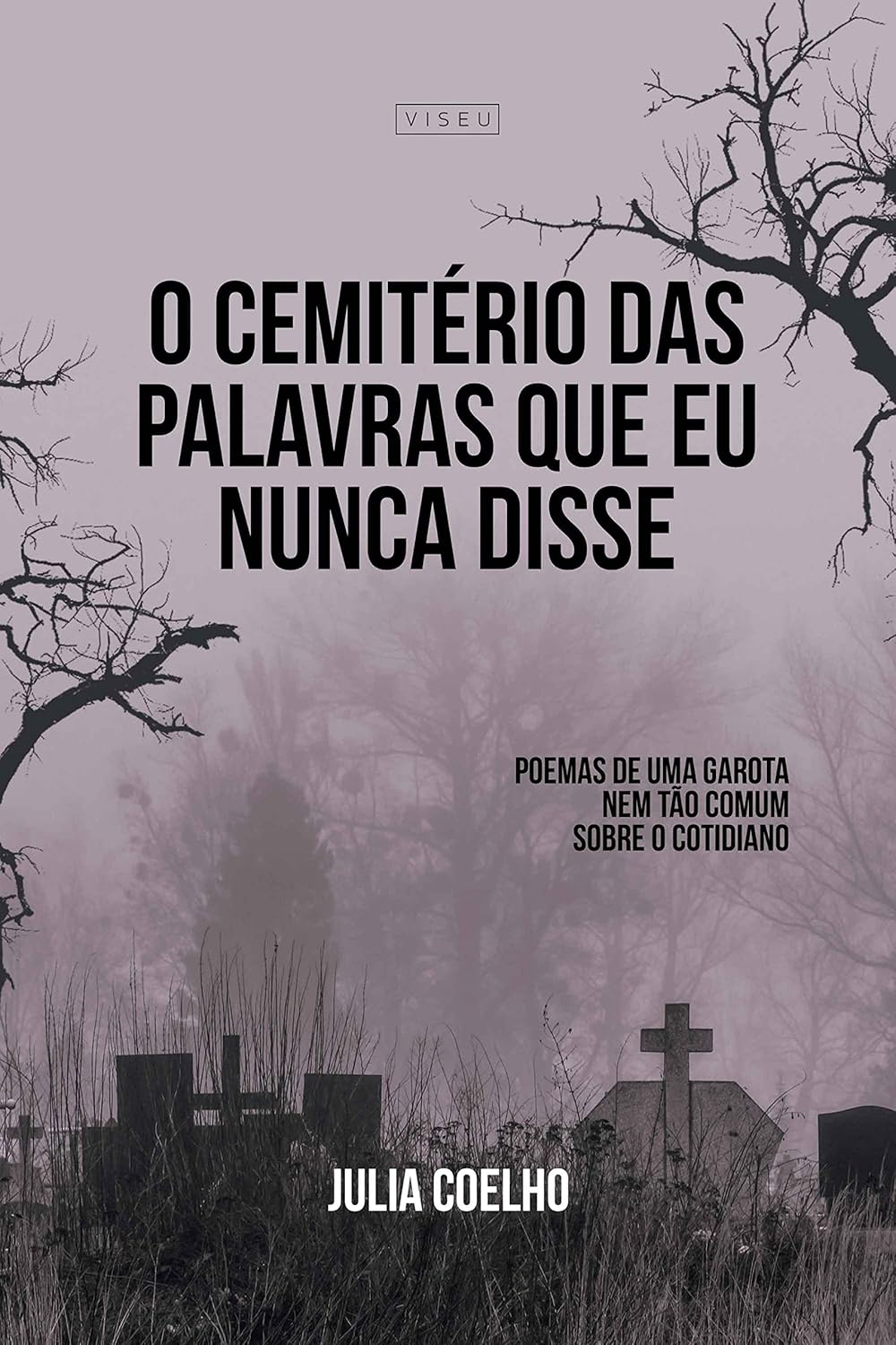 O cemitério das palavras que eu nunca disse: Poemas de uma garota não tão comum sobre o cotidiano